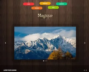 Web Sitesi HTML-CSS Tema MAGIQUE